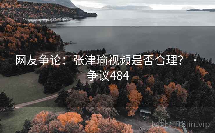 网友争论：张津瑜视频是否合理？ · 争议484