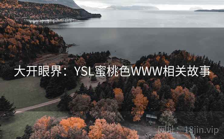 大开眼界：YSL蜜桃色WWW相关故事